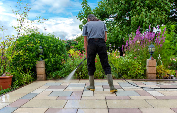 Best Parking Lot Cleaning in Viola, NY